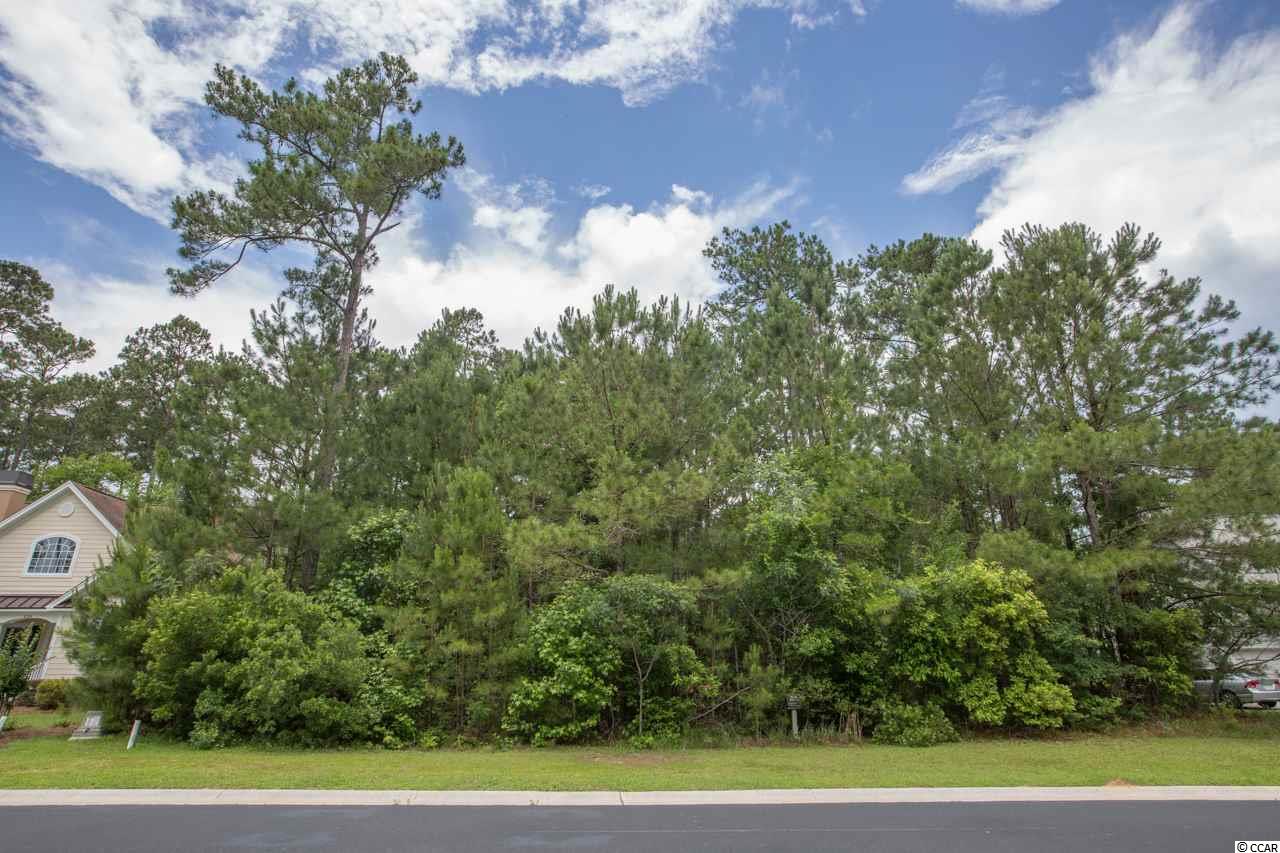 226 Low Country Loop Murrells Inlet, SC 29576 - Photo 2 of 7