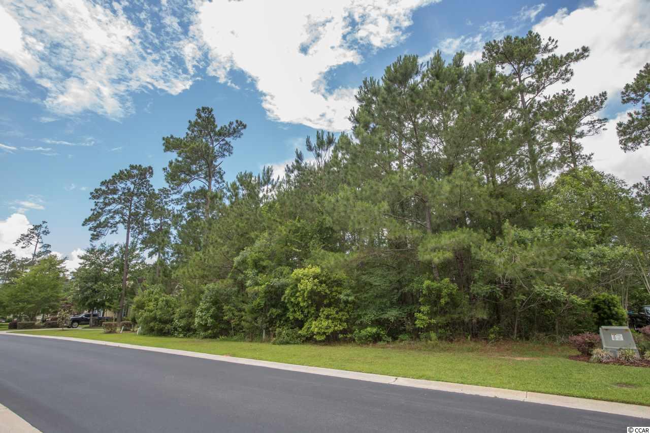 226 Low Country Loop Murrells Inlet, SC 29576 - Photo 3 of 7