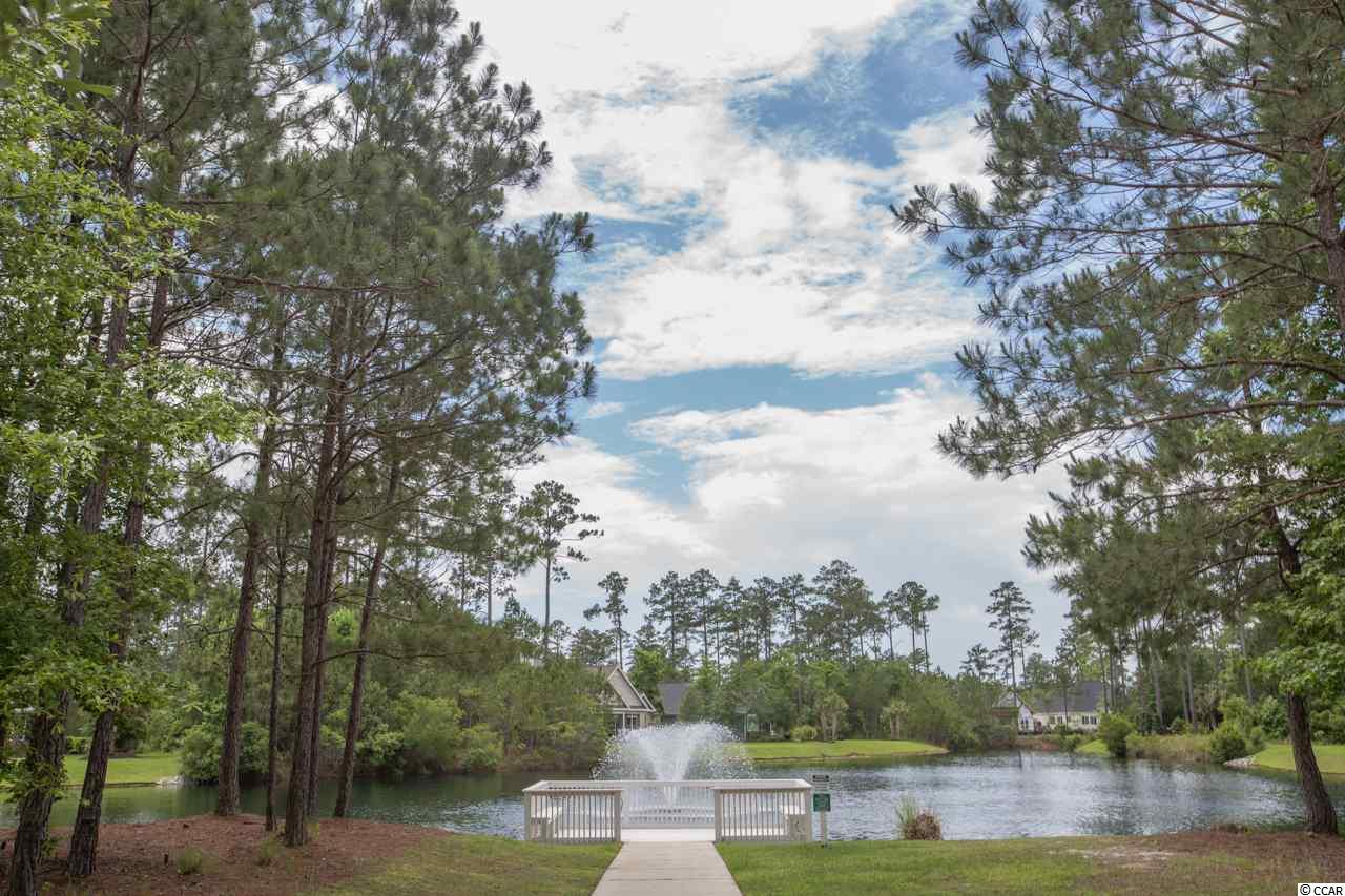 226 Low Country Loop Murrells Inlet, SC 29576 - Photo 6 of 7