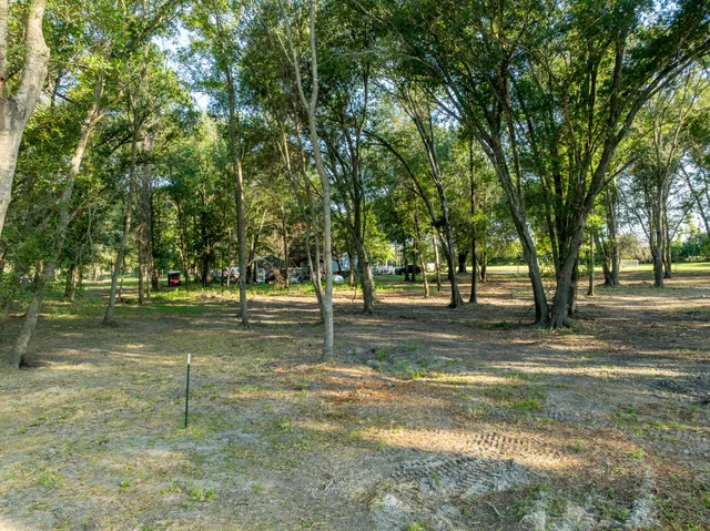 a view of a yard with a tree
