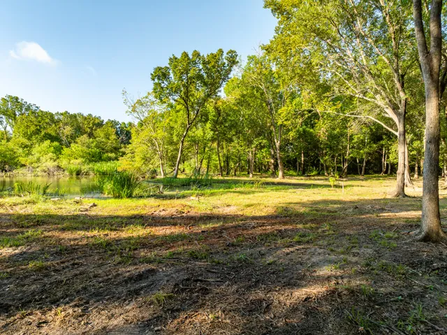 a view of a yard with a tree