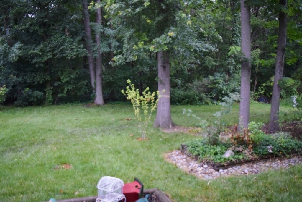 10711 Wild Ridge Place Fort Wayne, IN 46818 - Photo 6 of 7