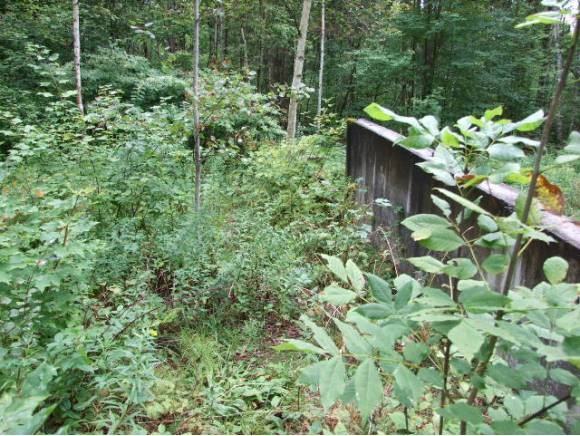 1 Malagash Road Reading, VT 05153 - Photo 1 of 1
