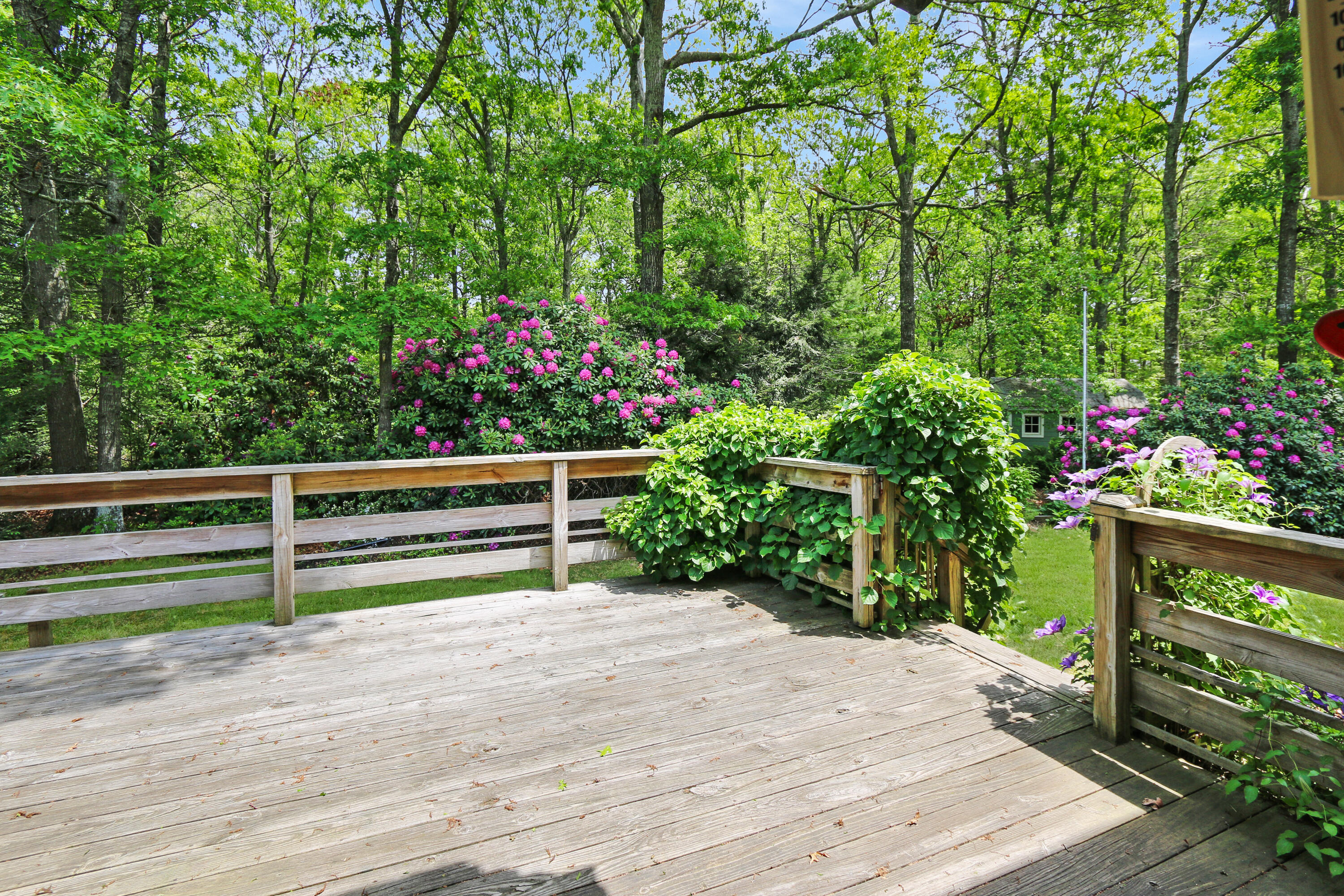 254 Cotuit Road Sandwich, MA 02537 - Photo 7 of 20 IMG_4184