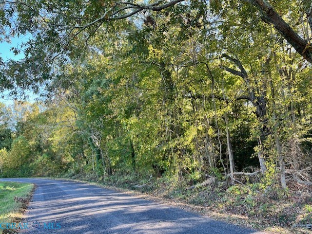 0 Yopps Cove Road White Stone, VA 22578 - Photo 3 of 6