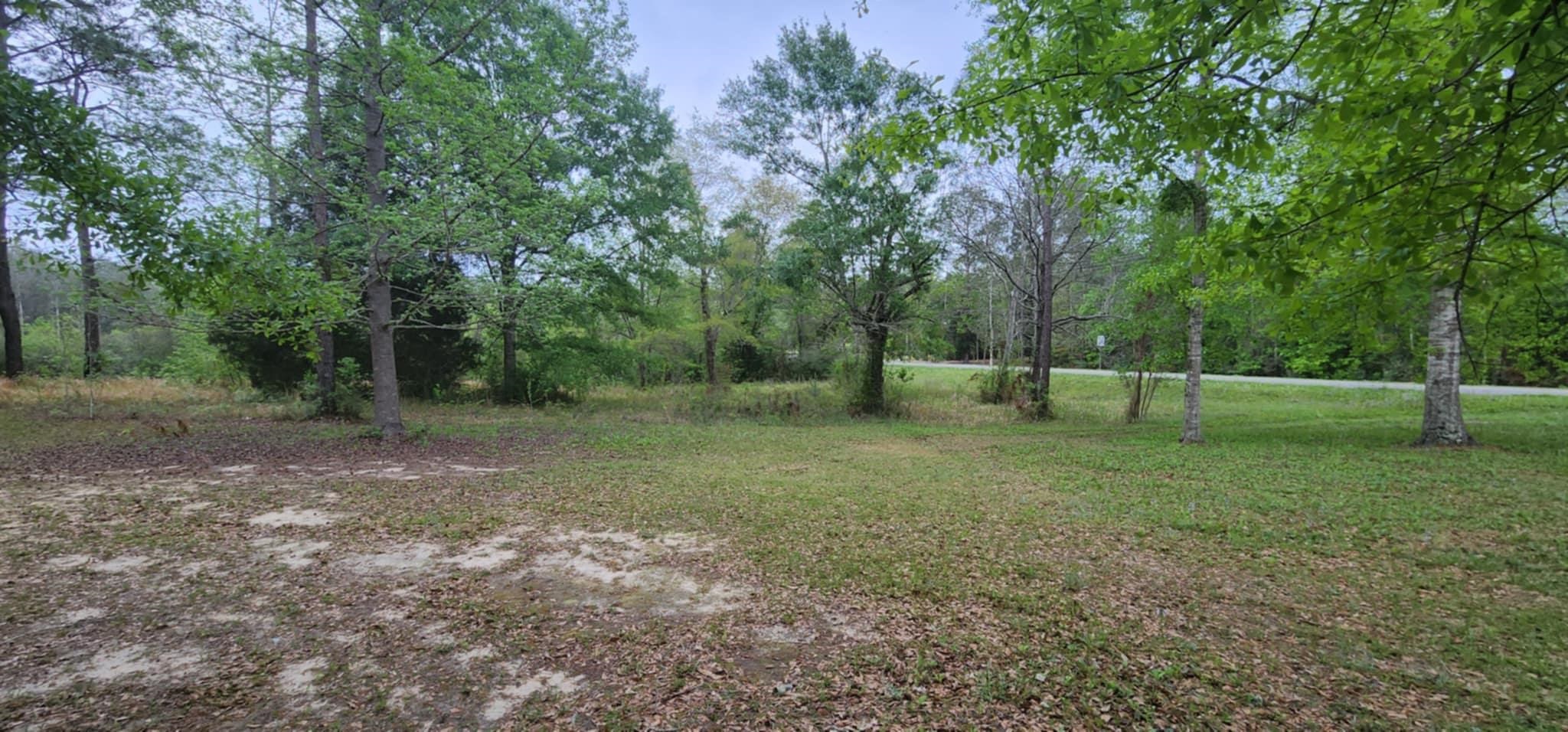 24407 Patterson Road Robertsdale, AL 36567 - Photo 12 of 18 Yard