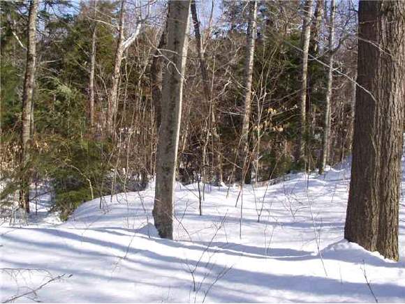 F30 Valley Road Tuftonboro, NH 03816 - Photo 1 of 1