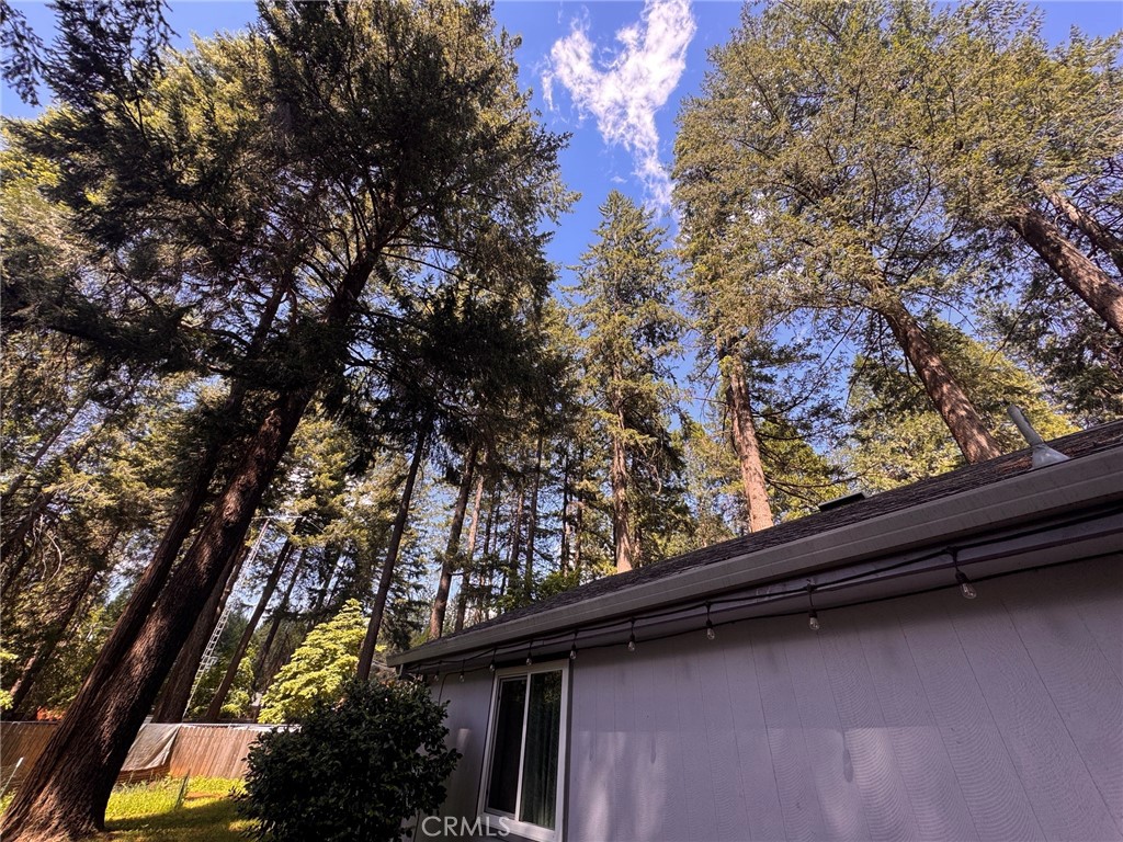 6287 Steiffer Road Magalia, CA 95954 - Photo 43 of 44