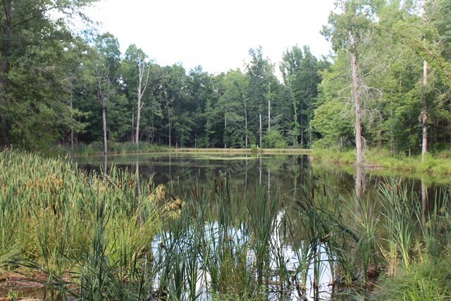 663 Sweetwater Road North Augusta, SC 29860 - Photo 3 of 7 Gallery Image 3