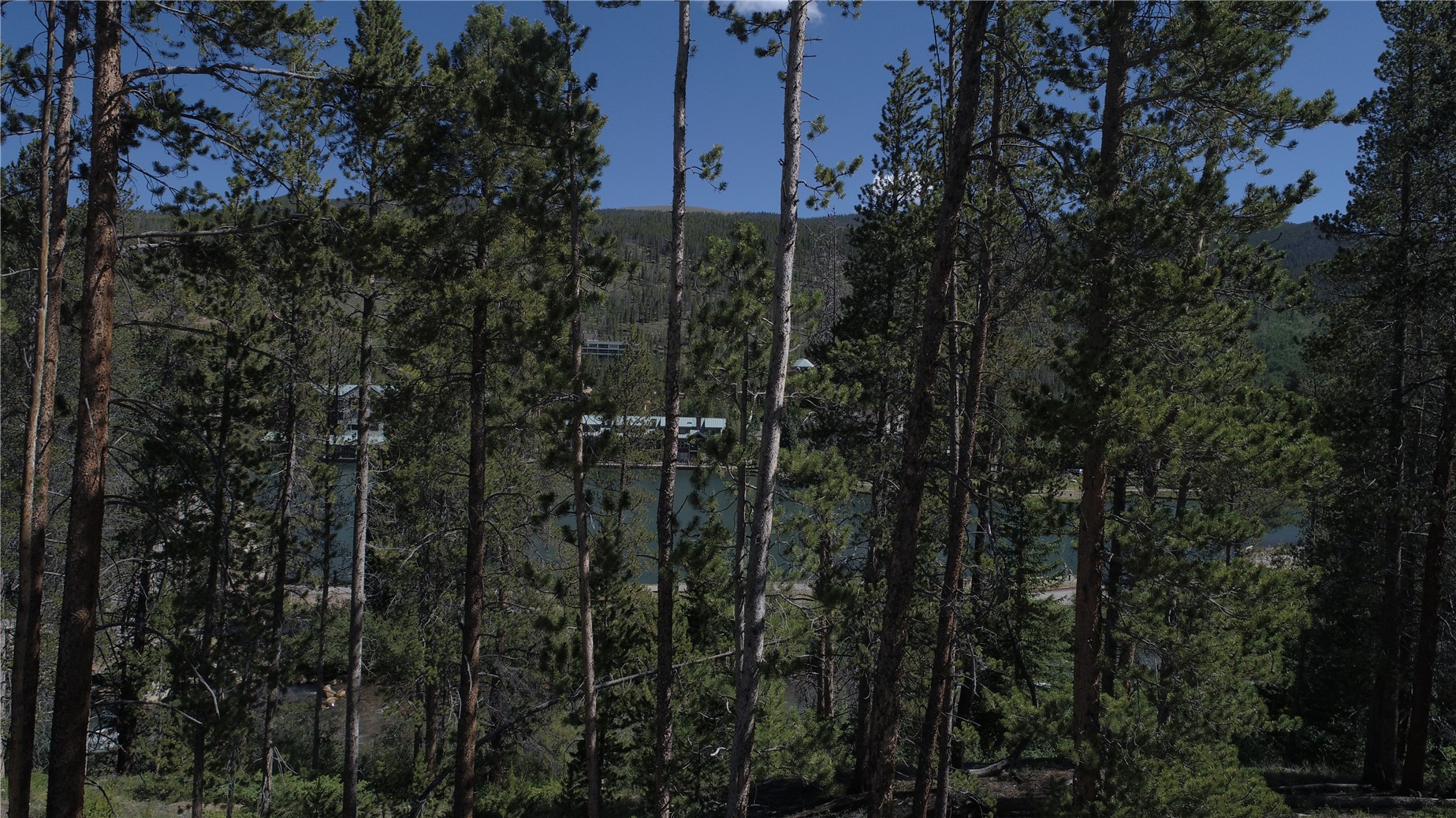 125 Lake Ridge Circle, Unit 1866 Keystone, CO 80435 - Photo 13 of 42 a view of a city with lush green forest