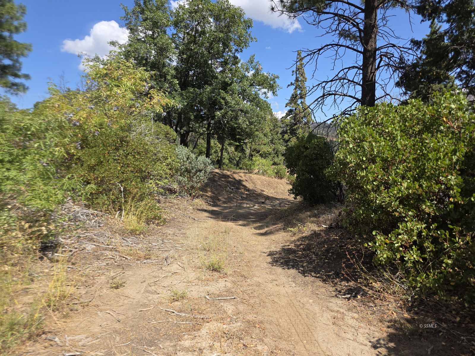 0 Old State Road Wofford Heights, CA 93285 - Photo 2 of 10