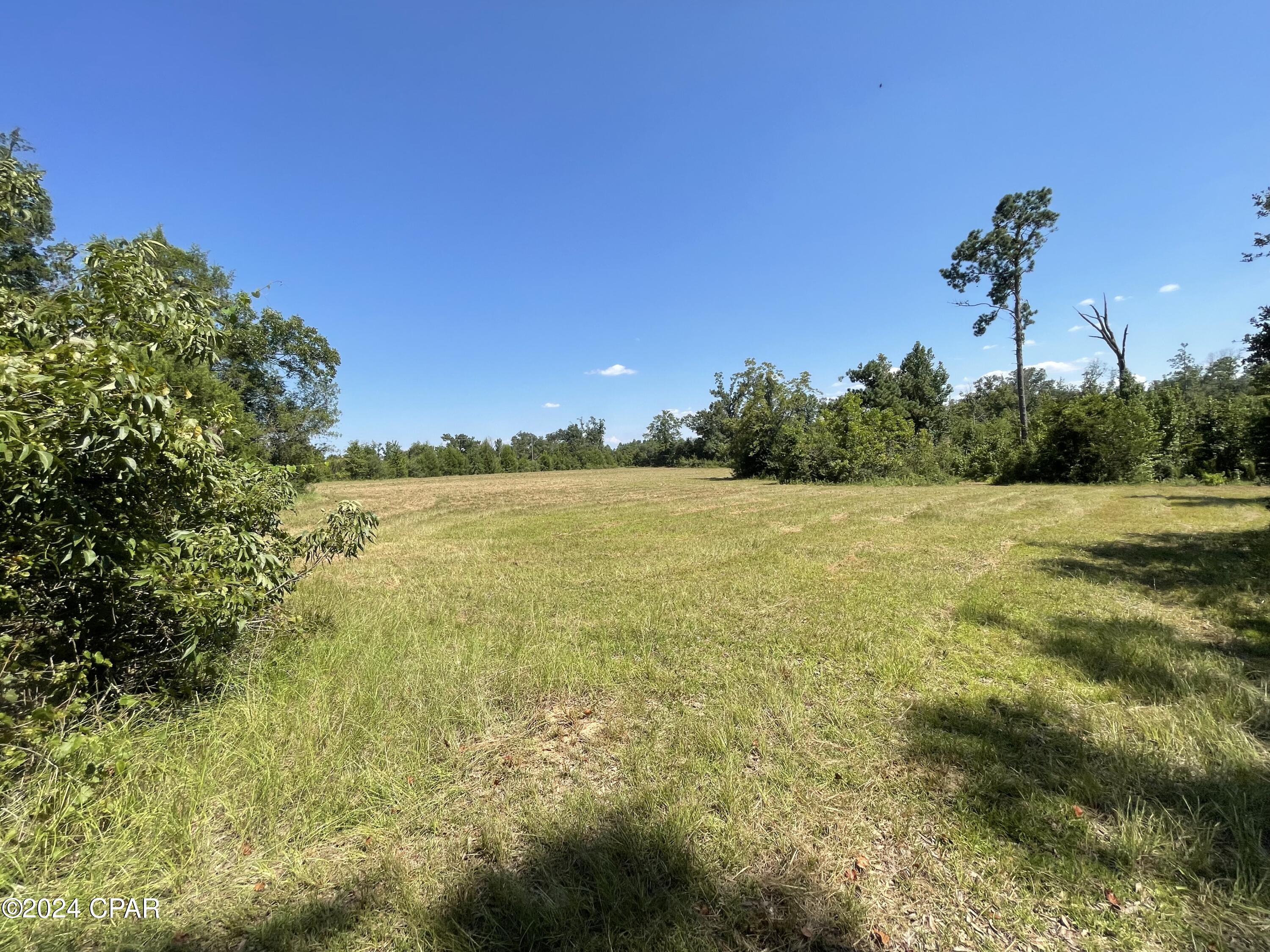 2194 A Bethlehem Road Cottondale, FL 32431 - Photo 6 of 10