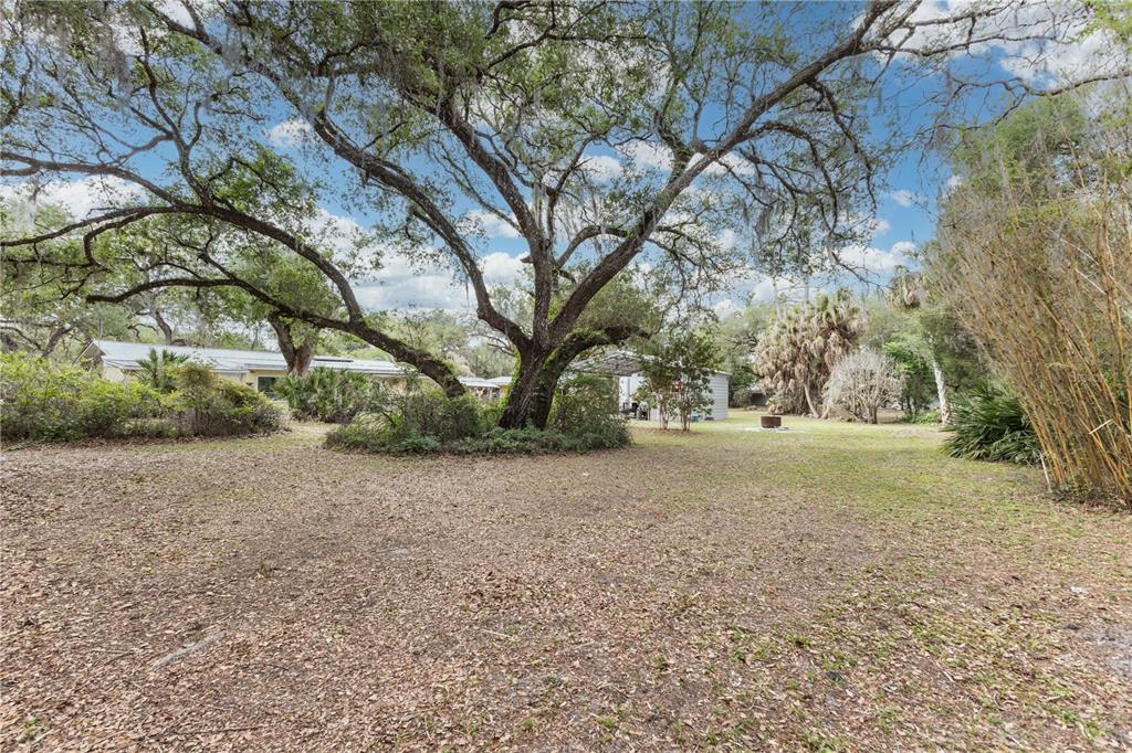 5175 Azalea Circle Dade City, FL 33523 - Photo 26 of 34 a view of dirt yard with a tree