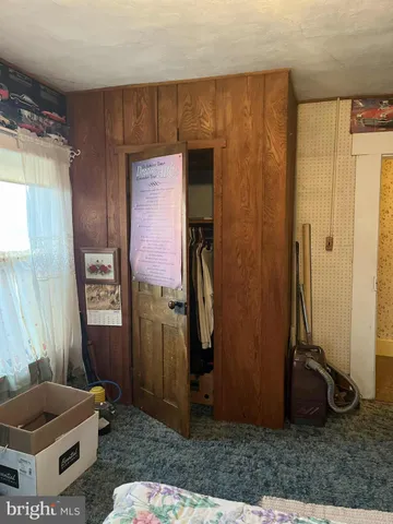 a living room with a couch and a potted plant
