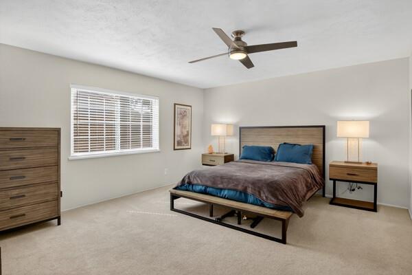 6331 North Jim Miller Road Dallas, TX 75228 - Photo 12 of 28 Bedroom with carpet floors, ceiling fan, and a textured ceiling