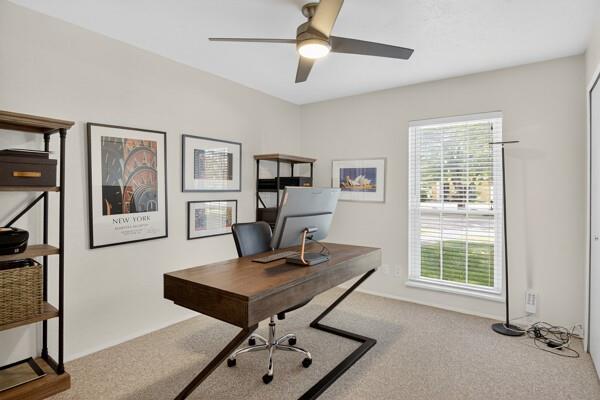 6331 North Jim Miller Road Dallas, TX 75228 - Photo 17 of 28 Office space featuring light colored carpet and a ceiling fan