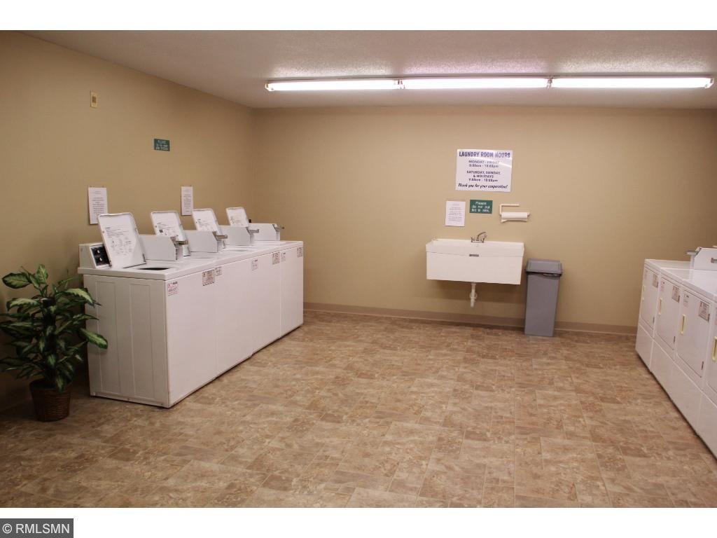 4045 Hodgson Road, Unit 310 Shoreview, MN 55126 - Photo 18 of 24 Gallery Image 18