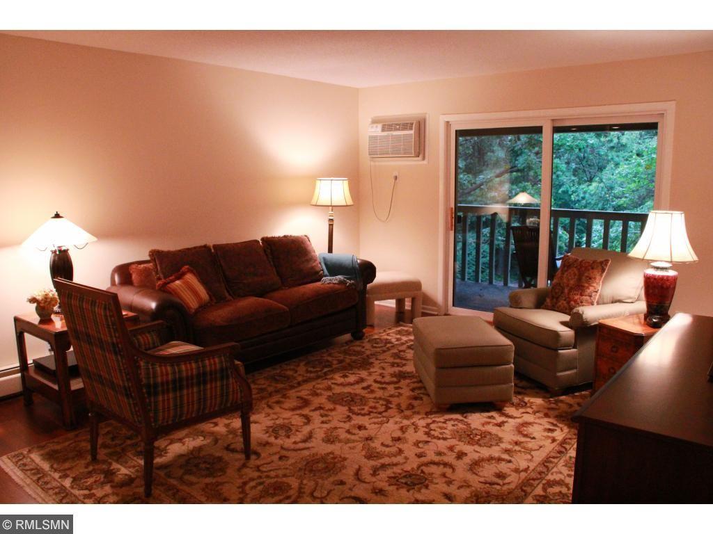4045 Hodgson Road, Unit 310 Shoreview, MN 55126 - Photo 7 of 24 Gallery Image 7