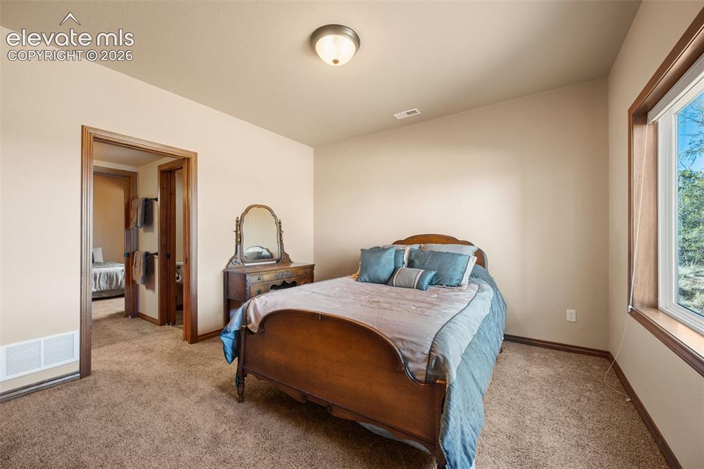 131 Paradiso Road Divide, CO 80814 - Photo 35 of 50 a bedroom with a bed and a window