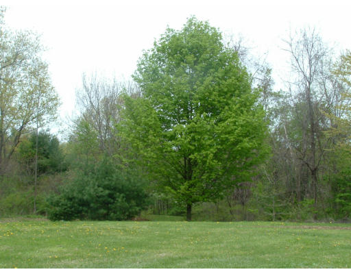 Lot 2 Fisher Road Fitchburg, MA 01420 - Photo 1 of 9 Gallery Image 1