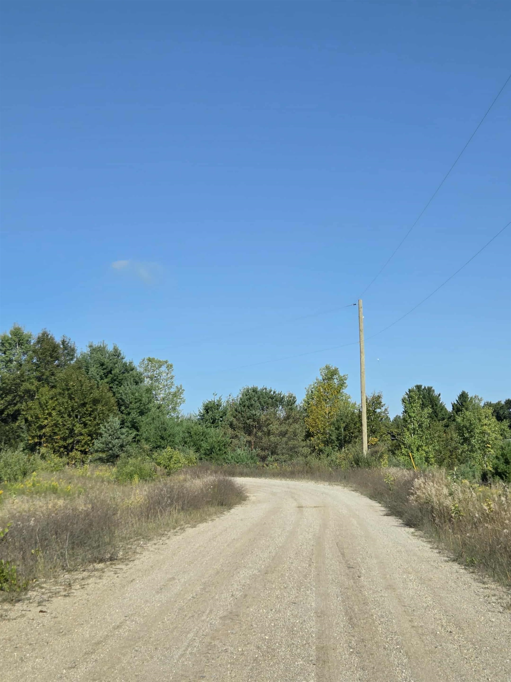0 Runyon Lane Hale, MI 48739 - Photo 3 of 5