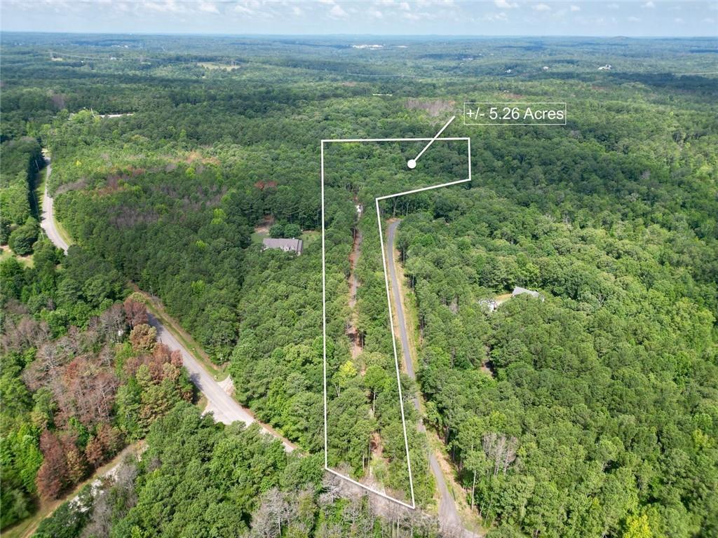 5567 Tyree Road Winston, GA 30187 - Photo 3 of 28 a view of a green field with lots of bushes