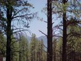 0 West Lead Rope Flagstaff, AZ 86005 - Photo 1 of 1 Primary Photo