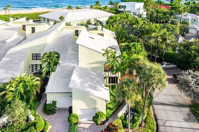 a picture of a lot of flowers