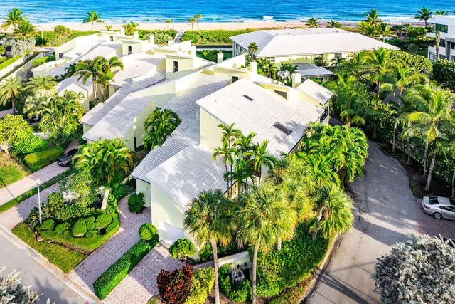 a picture of flowers