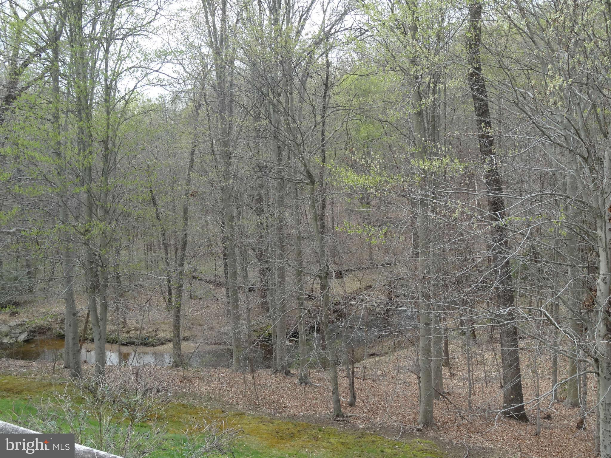 8091 Donegal Lane Springfield, VA 22153 - Photo 2 of 27 Seasonal view of Pohick Creek off Deck