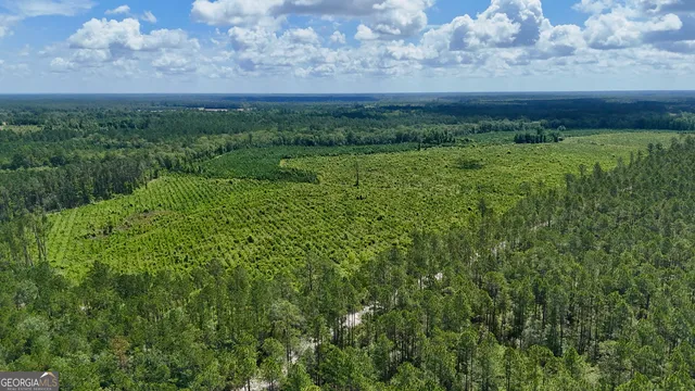 a view of a lush green outdoor space with a lake view