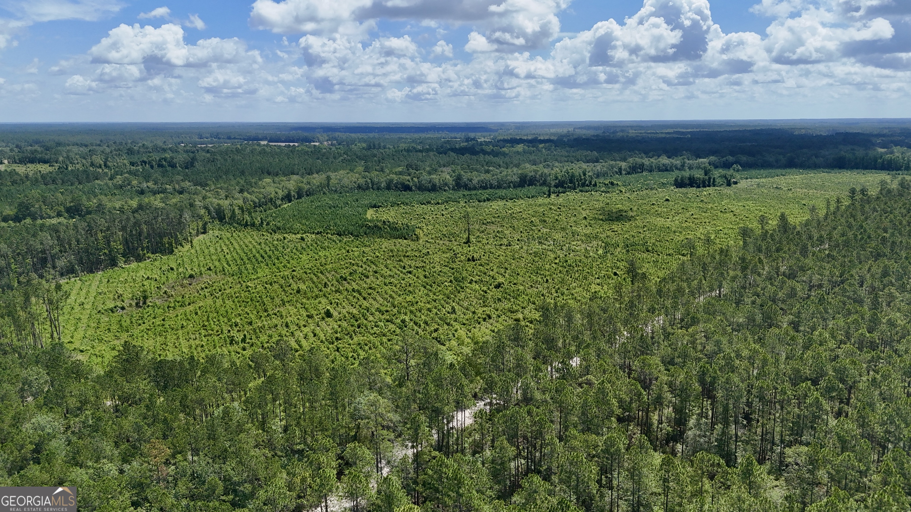 a view of a lush green outdoor space with a lake view