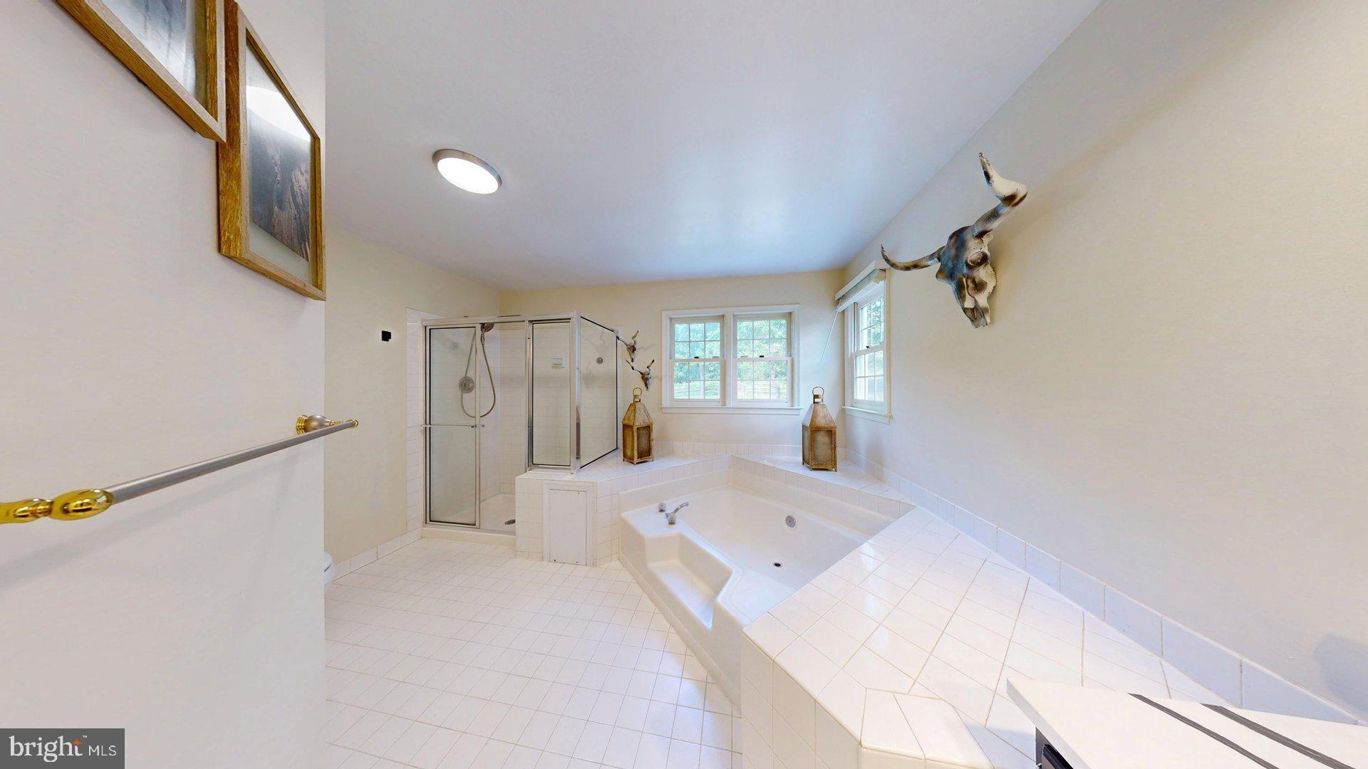 11901 Rustic Farm Court Germantown, MD 20874 - Photo 61 of 134 Serene spa-like bathroom retreat.