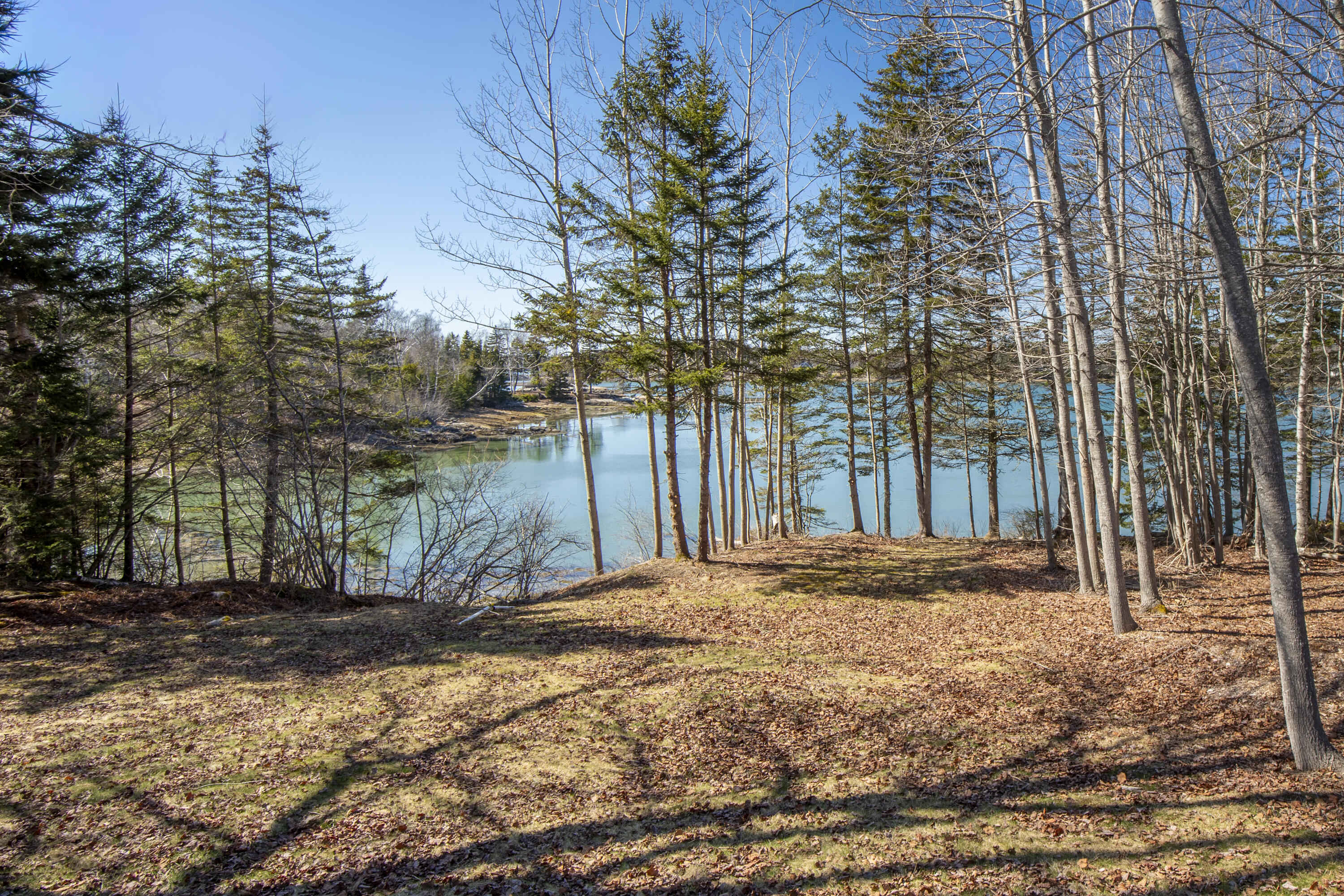 519 Island Avenue St. George, ME 04859 - Photo 8 of 41 09-519IslandAve-StGeorge-KS