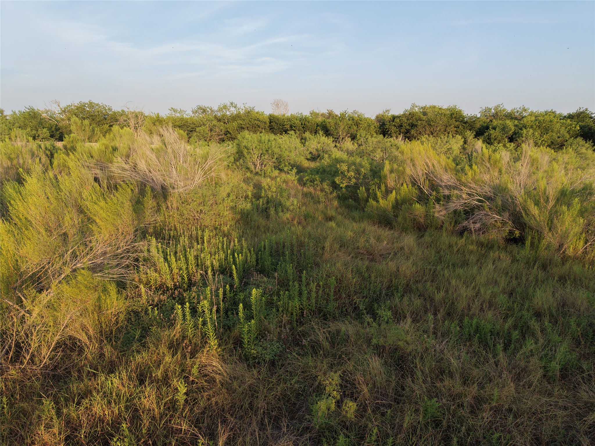 232 East Ridge Lane Kyle, TX 78640 - Photo 34 of 36 Vast, verdant grounds offer abundant space and natural privacy.
