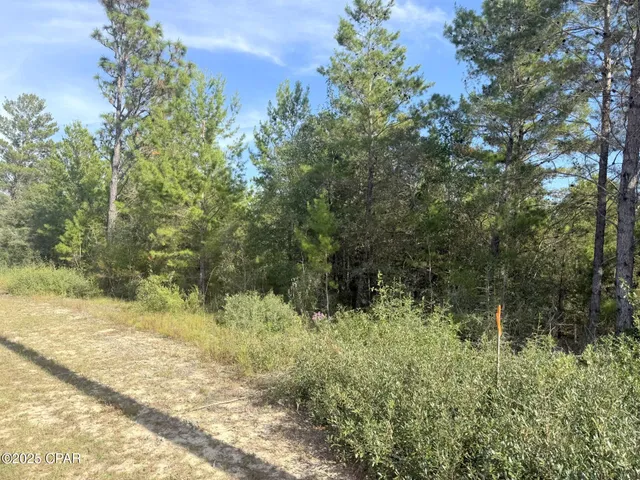$18,499 | Xxx Shenandoah Boulevard, Unit LOT 3, Chipley, FL 32428