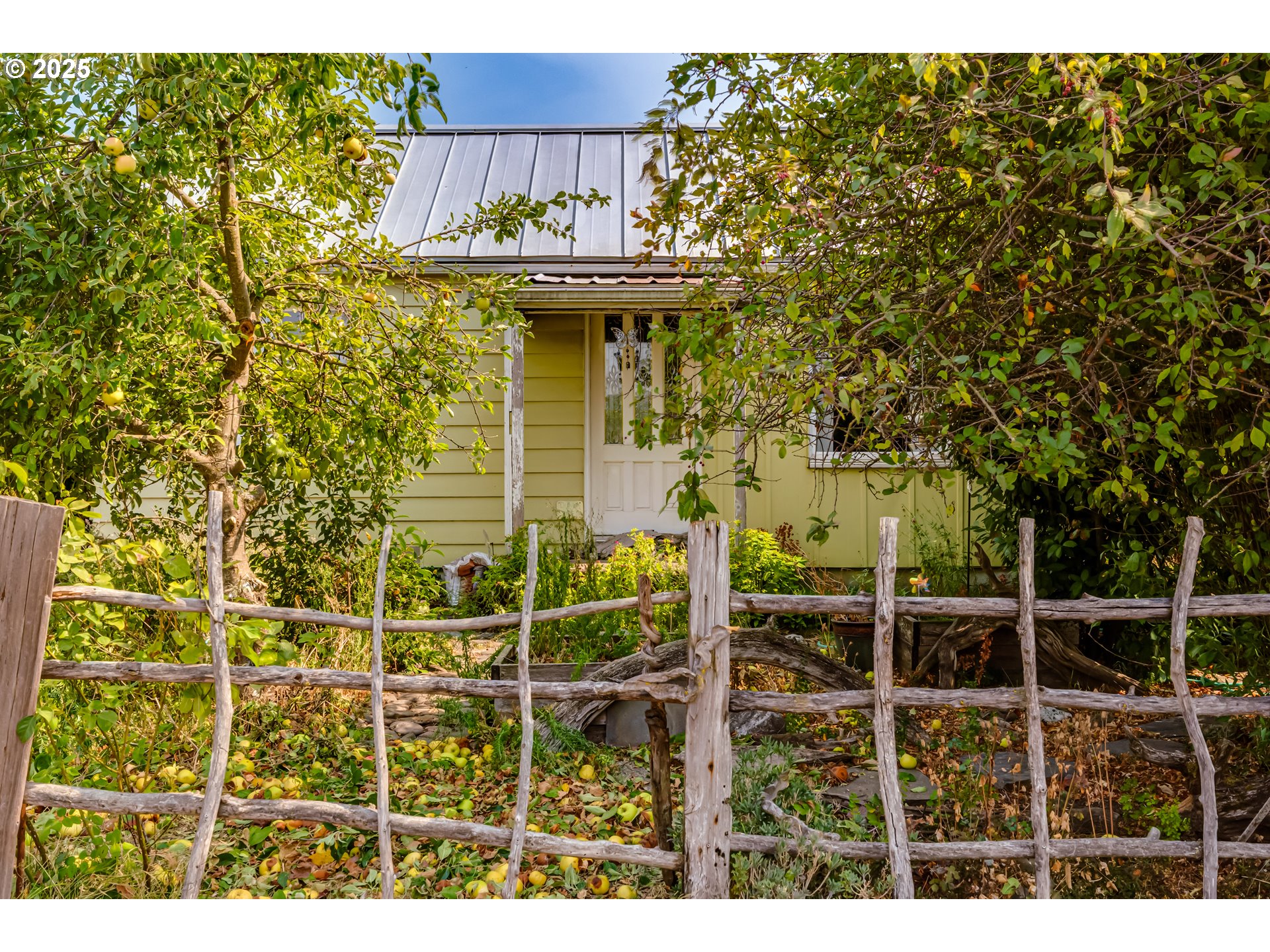 353 19th Street Springfield, OR 97477 - Photo 5 of 34