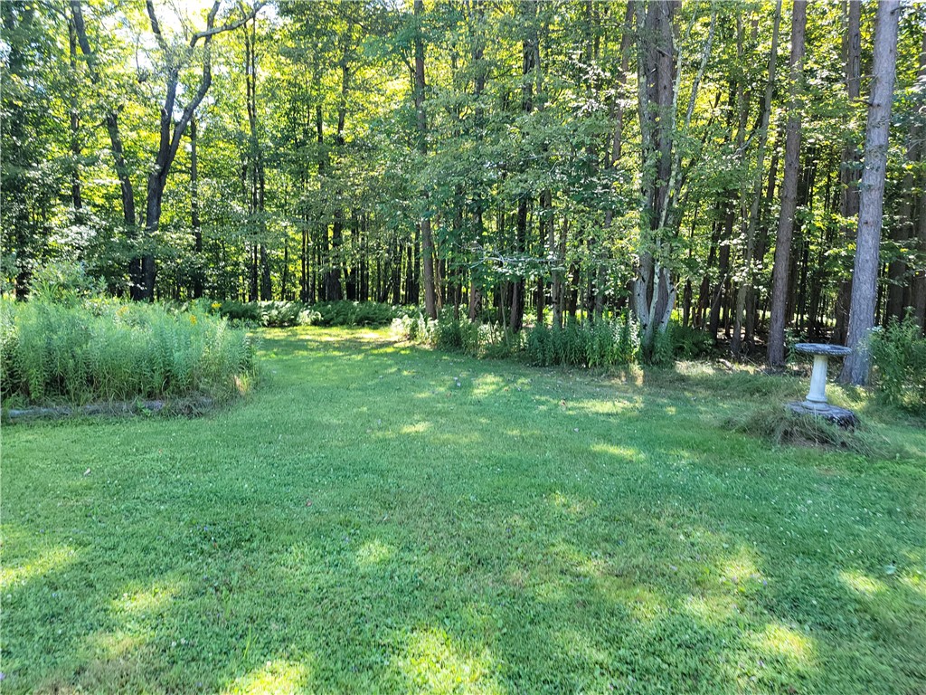 227 S Road Plymouth, NY 13815 - Photo 45 of 49