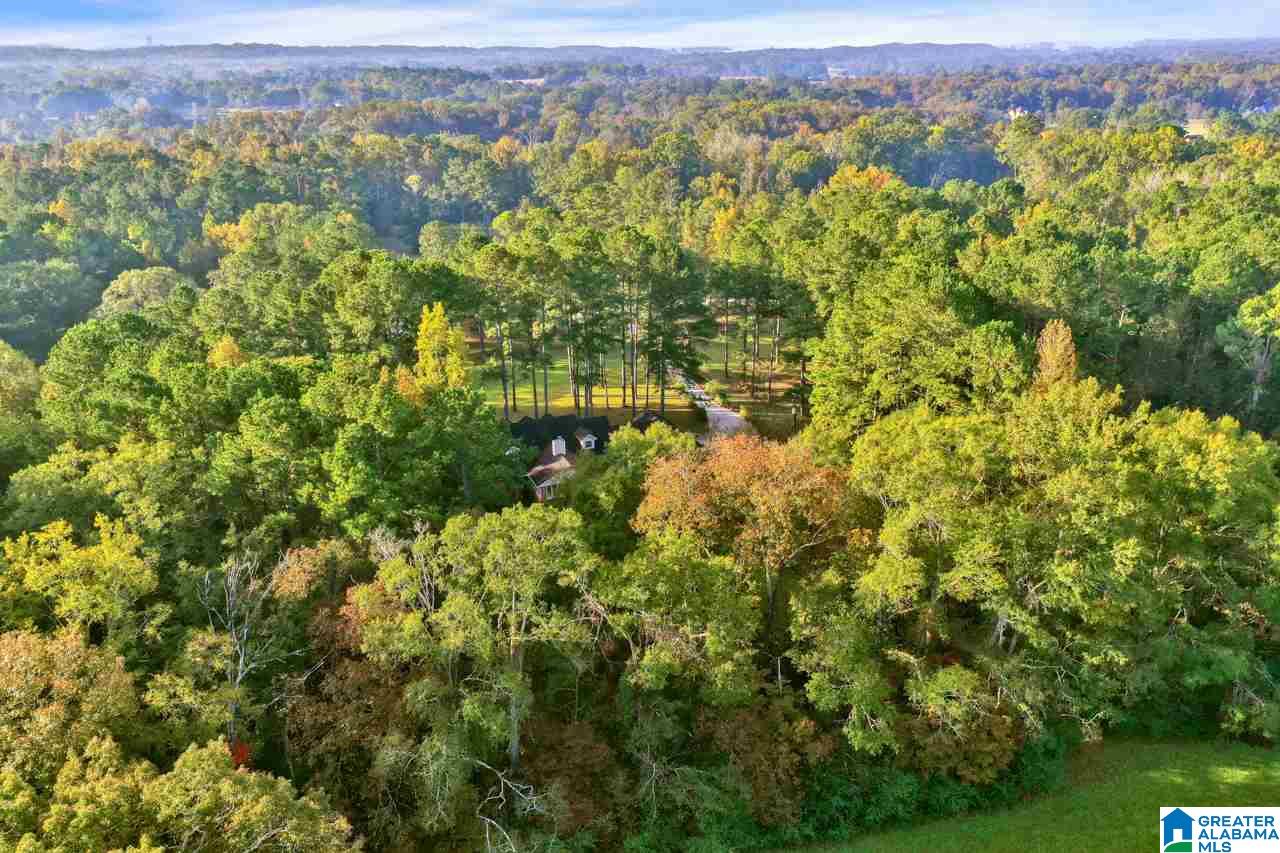 195 Buttercup Lane Montevallo, AL 35115 - Photo 12 of 50