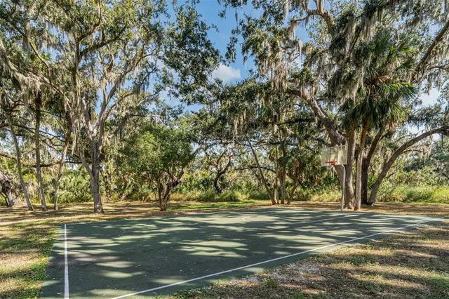 a view of a field with trees