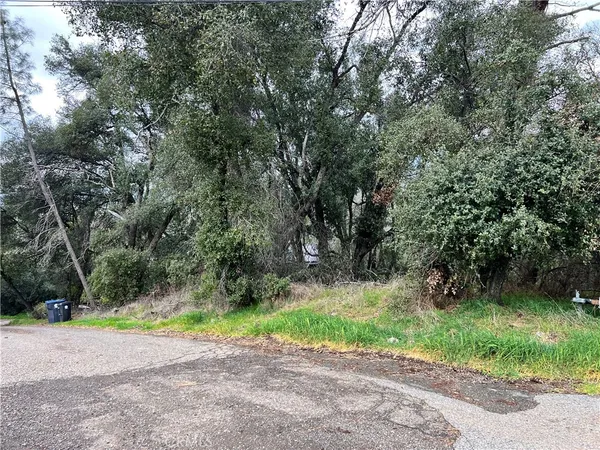 a view of a park with plants and large trees