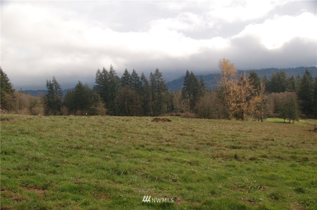 0 Witherbee Road, Unit LOT 5 Kelso, WA 98626 - Photo 3 of 3 Gallery Image 3