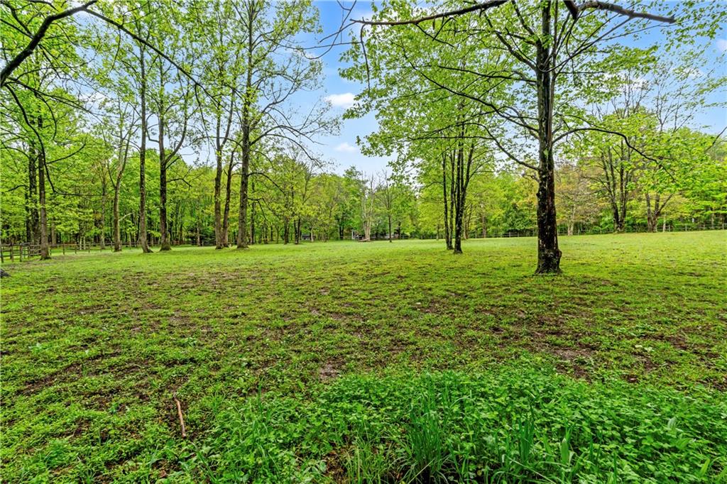 952 Bush Road New Alexandria, PA 15670 - Photo 20 of 50 Incredible mostly level land!