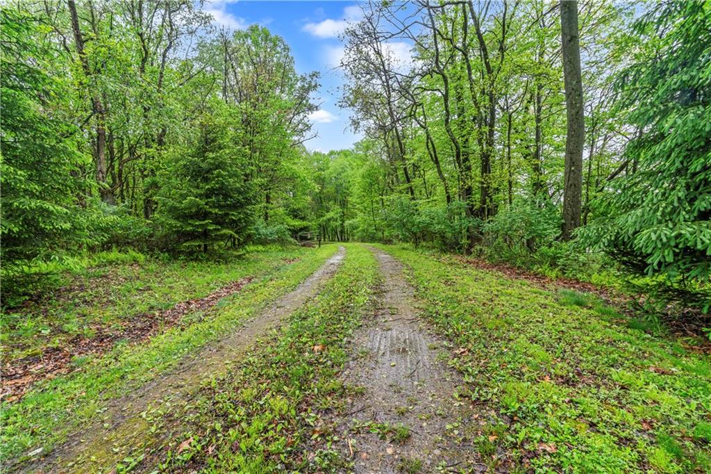 952 Bush Road New Alexandria, PA 15670 - Photo 46 of 50