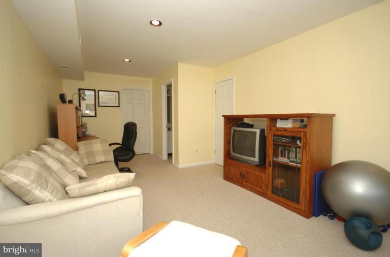 3829 9th Road South, Unit 3829 Arlington, VA 22204 - Photo 8 of 9 Recreation Room