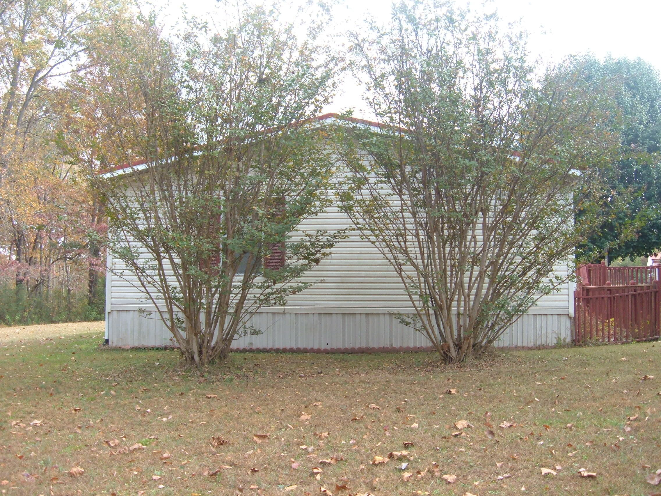 418 Mount View Road Robbins, TN 37852 - Photo 6 of 19 418 Mt View Rd (18)