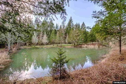 26662 Fern Ridge Road Sweet Home, OR 97386 - Photo 24 of 35 Additional Photo