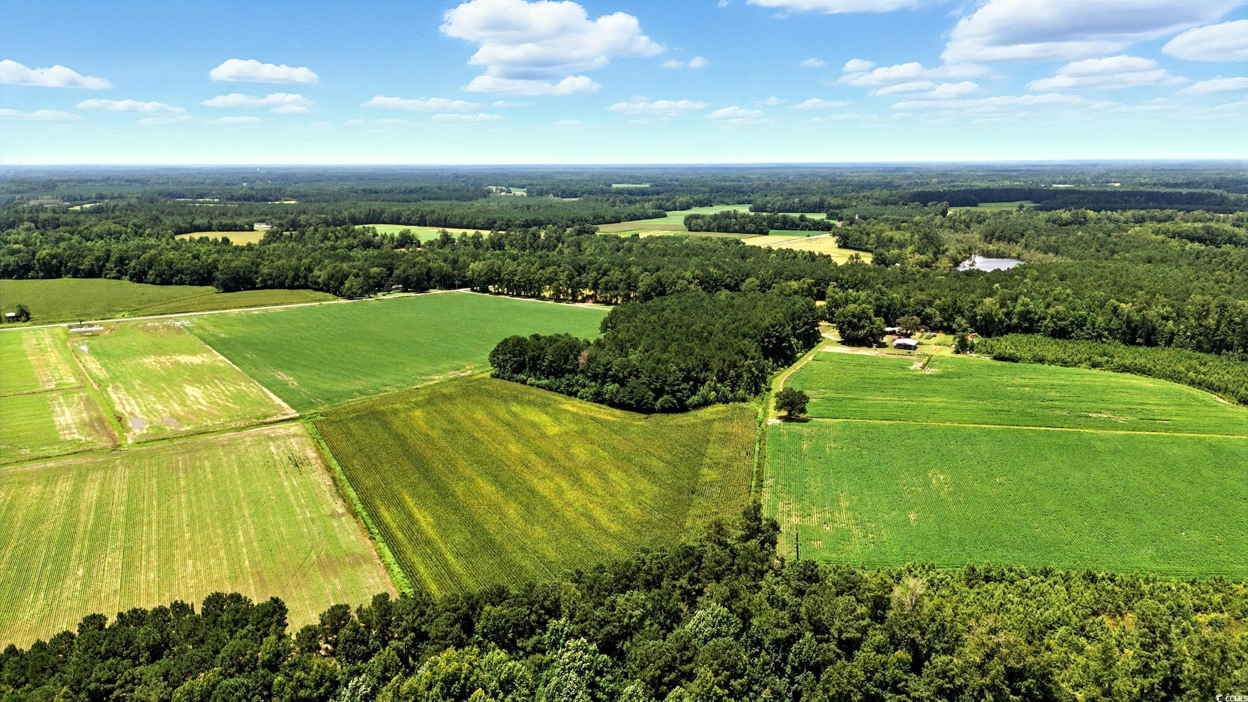 Tbd Duford Road Nichols, SC 29581 - Photo 1 of 5 View of rural area