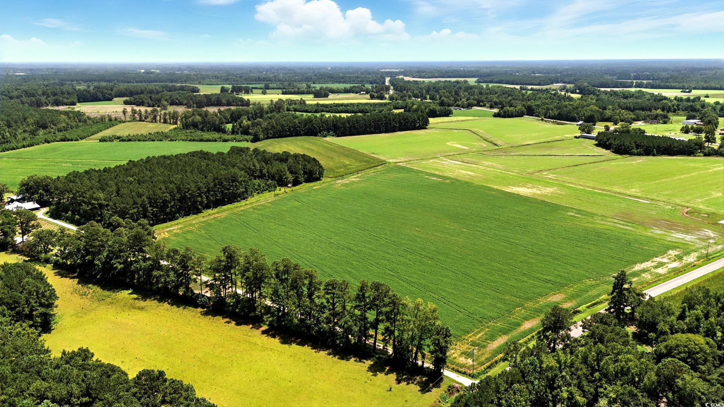 Tbd Duford Road Nichols, SC 29581 - Photo 2 of 5 Overview of rural landscape with large plots for crops