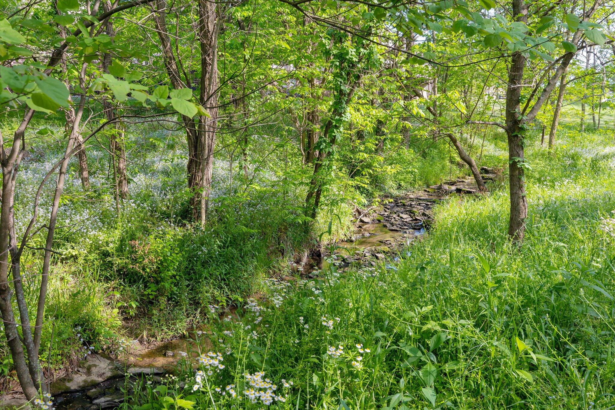2237 Shaker Run Road Lexington, KY 40509 - Photo 42 of 42 41-IMG_7839